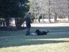 md-cops-dog-laying-down-min